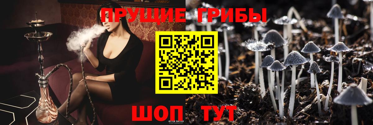 Галлюциногенные грибы Cubensis  Вход с VPN  Псилоцибиновые грибы мицелий  Видное 