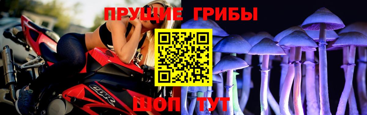 Галлюциногенные грибы Psilocybine cubensis Видное